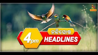 Headlines@4PM | 21st April 2021 | NandighoshaTV