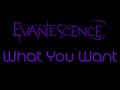 Evanescence - What You Want Lyrics (Evanescence)