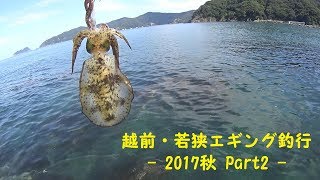 越前・若狭エギング釣行 - 2017秋 Part2 -  Squid jig fishing in Fukui prefecture, Japan - Autumn 2017 Part2-