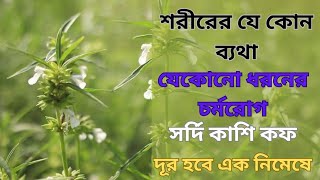 দন্ড কলস গাছের উপকারিতা। চেনেন এই গাছটি , ভীষণ উপকারী