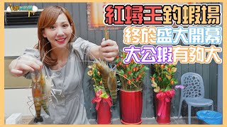 【釣蝦小益思】期盼已久  終於開幕  紅蟳王回來啦  超大公蝦  釣到爽到  #釣蝦 #i呀我的蛋 #新聞 #主播 Shrimpfishing  エビ釣り  새우 낚시