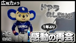 【オールスター動画番外編】一年ぶりにドアラさんと感動の再会【広報カメラ】