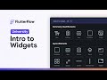 Intro to Widgets | FlutterFlow University