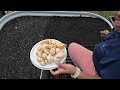 Planting Garlic | See my new Vegega Raised Metal Bed