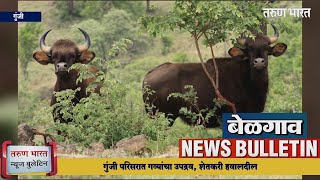 बेळगाव न्यूज बुलेटिन | Belgaum News Bulletin | 26-08-2023