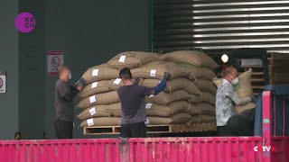 China's Rising Coffee Craving Drives Surge in Coffee Bean Imports