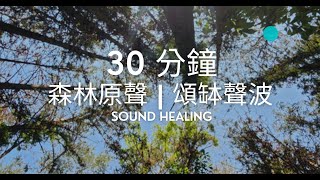 30分鐘 頌缽森林靜心冥想－消除負能量 療癒 放鬆 助眠 | 30 minutes singing bowl with forest sound meditation sounds