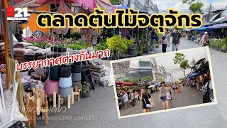 ตลาดนัดต้นไม้จตุจักร (อังคาร,พุธ,พฤหัสฯ) บรรยากาศต่างกันมาก ไปซื้อ...