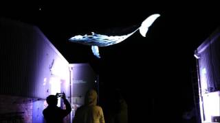 Holographic projection of a whale in midair outside our factory