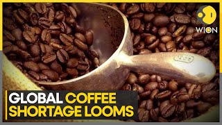 Severe Weather Sparks Coffee Price Hike | World News | WION