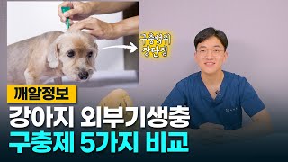 강아지 외부기생충 구충제 5가지 전격 비교! (ft. 살인진드기 주의)