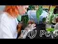 DIY Pon + how to make it more affordable hack | how to, my experience, repotting plants (semi hydro)