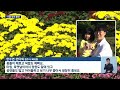 국화향 가득한 가을…청남대 가을축제 개막 kbs 2024.10.26.