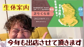 ぶりくら2022 出店　レオパ　タマオ　ゴニウロ　フトアゴ