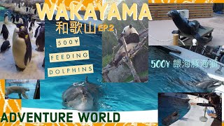 0+3下重遊日本和歌山 WAKAYAMA OCT/2022 EP.2 ADVENTURE WORLD冒險世界 餵海豚海獅 同海豚握手FEEDING \u0026 SHAKE HANDS WITH DOLPHIN