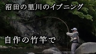 沼田の里川のイブニング／2021年5月のフライフィッシング／【自作の竹竿で釣りをする】