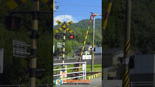 【踏切 電車】なにが通るかな？？？【ふみきりショート動画118】  #shorts