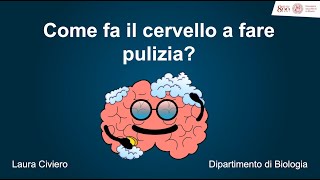 Come fa il cervello a fare pulizia?