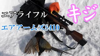 【エアライフル猟】エアライフルでキジを狙う エアアームズS410　【空気銃猟】キジ猟