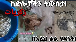 እነሆ በአሏህ ቃል የዳኑ ሙእሚኖች መሰከሩ!!