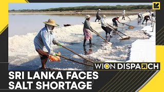 Sri Lankan Cabinet Approves Import of Non-Iodised Salt Amid Ongoing Supply Concerns | WION Dispatch