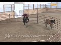 halter breaking part 1 with peter campbell