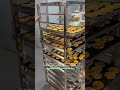 热风炉烤蛋挞 egg tart making bakery bakingequipment bakerymachine cookingequipment deliciou eggtart