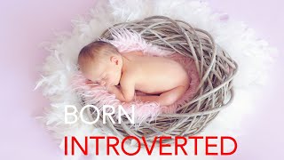 You are born an introvert | Science of introversion