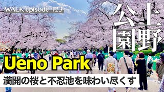 4K Walking tours on Ueno park \u0026 Shinobazu Pond with Cherry Blossoms Tokyo Japan