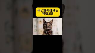 サビ猫の性格と特徴3選