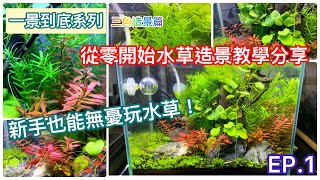 AS.CUBE 水族[水草缸設置EP1] 只要選對新手水草！漂亮水草缸隨手得！Right choices of plant brings you nice aquarium!