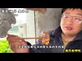 武汉天价热干面，一碗33块牛肉特别多，老板称武汉最贵没第二家