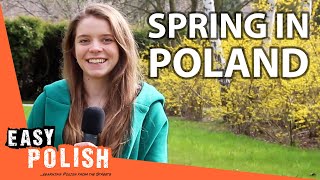 What Does Spring in Poland Look Like? | Super Easy Polish 27