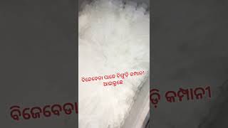 ଚିଙ୍ଗୁଡ଼ି କମ୍ପାନୀ ଆଇଲୁଛେ କାମ କରି KORAPUTIA VLOG VIDEO ଚିଙ୍ଗୁଡ଼ି କମ୍ପାନୀ ଆଇଲୁଛେ କାମକରି KORAPUTIAVLOG