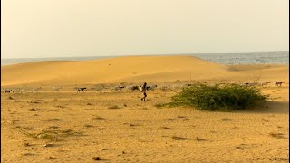 Somaliland's Long Lost Desert (Ceel-Gerde)