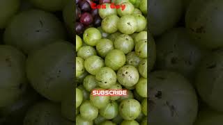 কম টাকায় সব ধরনের ফল কিনুন শান্তিনগরের মোড়ে | Buying Fruits At Cheap Price |Cox Boy Vlog | #Shorts