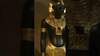 3000 Years Old Hidden Treasure Found in Egypt | Shorts life #shorts #shorts_motivation #motivation