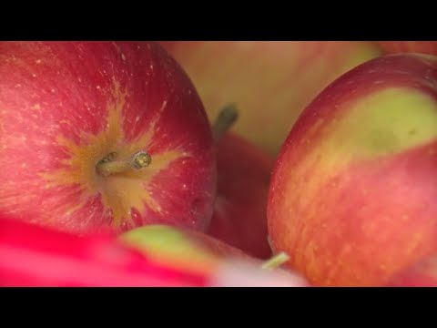 How did the fruit Apple get its name?