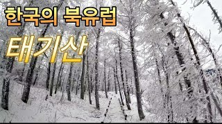 당일치기 북유럽 눈꽃산행 / 놓치면 평생 후회할 조릿대길 상고대 / 태기산 아닙니다! 북유럽 입니다!!