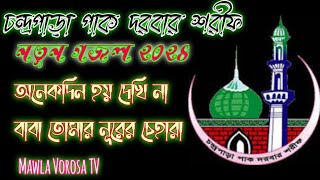 চন্দ্রপাড়া পাক দরবার নতুন গজল ২০২৪।#চন্দ্রপাড়া_পাক_দরবার_শরীফ।\