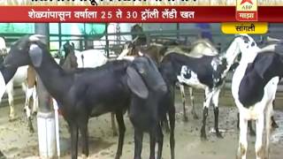 712 ⁄ Sangli ⁄ Goat Farming ⁄ Rishi Takale success