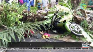 3 Beranak Maut Dihempap Pokok Kelapa Sawit