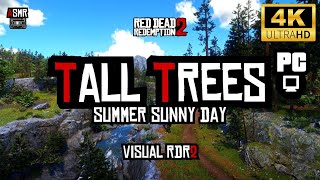 【Visual RDR2/ASMR】日中のトールツリーズ  夏Ver.(Tall Trees Summer Sunny Day)