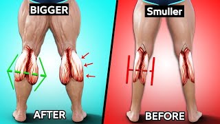 7 Best Exercises Complete Calf Workout at Home