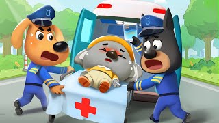 โคอาล่าน้อยหายตัวไป | คุณยีราฟกำลังหางานใหม่ | การ์ตูนเด็ก | เบบี้บัส | Kids Cartoon | BabyBus