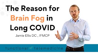 The Cause of Brain Fog in Long COVID