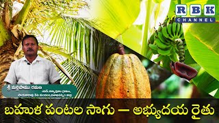 బహుళ పంటల సాగు –అభ్యుదయ రైతు ll శ్రీ మల్లిపాము రమణ, యస్.నర్సాపురం గ్రామం, పాయకారావు పేట మండలం