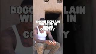 The Dogon Explain How They Discovered Sirius B