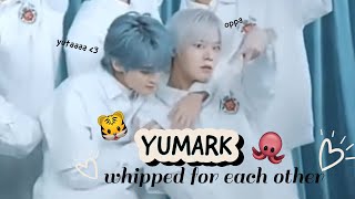 Download Mp3 yumark starting 2023 being whipped for each other