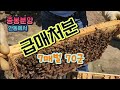 *((판매완료))급처분 평균 7매벌 70군 일괄로 판매합니다.